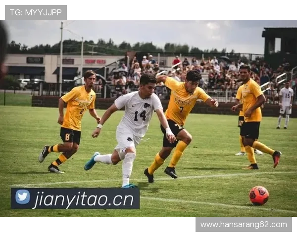 尊龙凯时平台客户服务体系建设,全天候专业支持保障用户无忧体验 尊龙凯时平台客户服务体系建设,全天候专业支持保障用户无忧体验