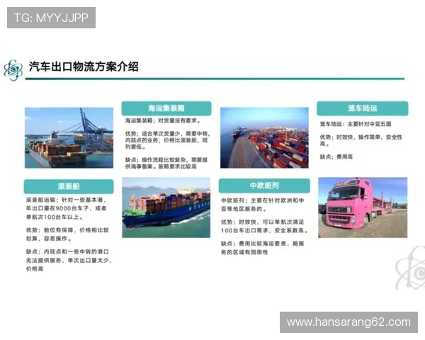 尊龙凯时体育域名在国际市场中的注册策略与跨境运营建议